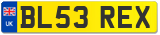 BL53 REX