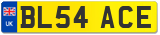 BL54 ACE