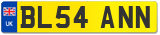 BL54 ANN