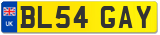 BL54 GAY