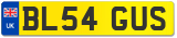 BL54 GUS