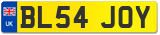 BL54 JOY