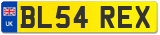 BL54 REX