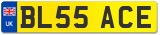 BL55 ACE