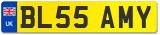 BL55 AMY