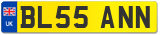 BL55 ANN