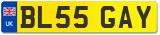 BL55 GAY