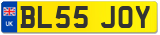 BL55 JOY