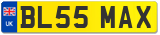 BL55 MAX