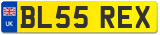 BL55 REX