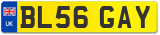 BL56 GAY