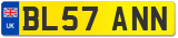 BL57 ANN