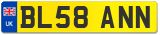 BL58 ANN