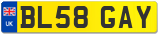 BL58 GAY