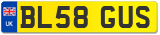 BL58 GUS