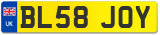 BL58 JOY