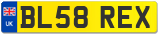 BL58 REX