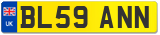 BL59 ANN