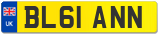 BL61 ANN