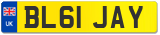 BL61 JAY