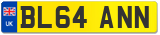 BL64 ANN