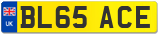 BL65 ACE