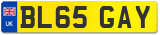 BL65 GAY