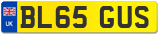 BL65 GUS