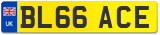 BL66 ACE