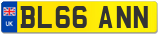 BL66 ANN