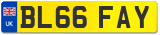 BL66 FAY