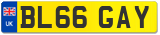 BL66 GAY