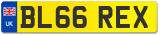 BL66 REX