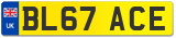 BL67 ACE