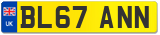 BL67 ANN