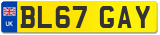 BL67 GAY