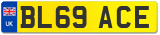 BL69 ACE