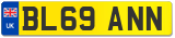 BL69 ANN