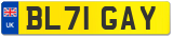 BL71 GAY