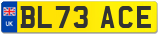 BL73 ACE