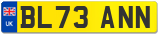 BL73 ANN