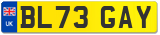 BL73 GAY