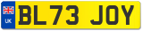 BL73 JOY