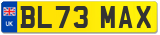 BL73 MAX