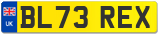 BL73 REX