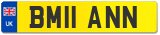 BM11 ANN