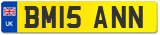 BM15 ANN