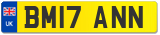 BM17 ANN