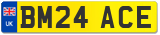 BM24 ACE