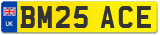 BM25 ACE